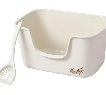 6bae65360f58368609d33d296fd2653b-e1736774576398-770x770