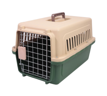 th-11134207-7r98p-lvlcd3bqqxuqa5-890x890