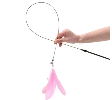 th-11134207-7r98q-lzlsbeccigsh15