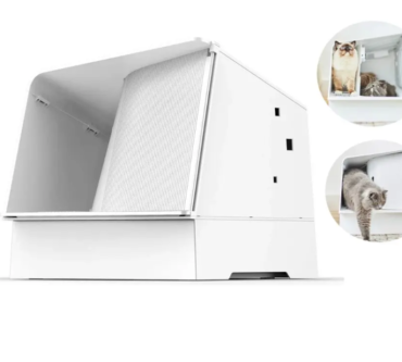 th-11134207-7r98z-ly7uh9feulc1a2-e1736748697344-770x770