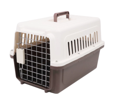 th-11134207-7r991-lxqqfl25961b0f-890x890