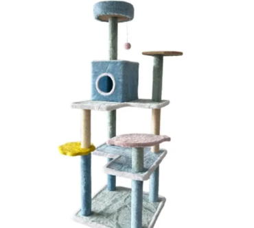 th-11134207-7rasb-m48h1bz5vn5w56-e1736753468895-770x770