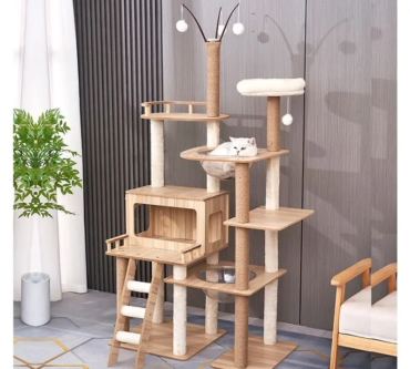 th-11134207-7rasf-m3g0vkvey6p37f-e1736749575965